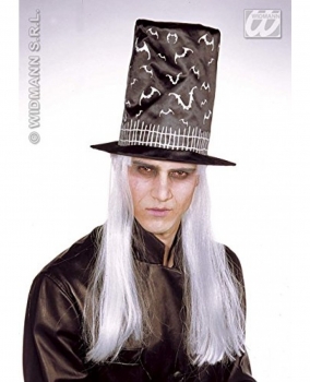 Hut für Zauberer mit Haaren